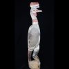 10936cassowary