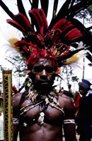 New Guinea Tribal Art