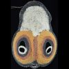 Very Colorful Yam Mask – Babamini, Abelam People, Papua New Guinea - #10074 - Image 2