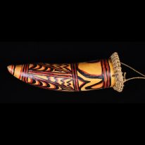 Painted Phallocrpyt, New Guinea - 10816