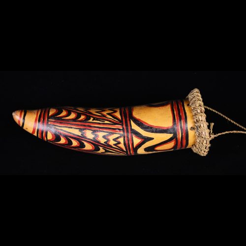 Painted Phallocrpyt, New Guinea - 10816