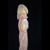 Ancestor Figure with Clan Bird, Wosera Area of New Guinea - 10944 - Image 3