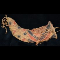 Curving Phallocrypt, Middle Sepik River – 11132u