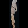 Very Nice Lower Sepik River Ancestor Figure – 23-09 - Image 2