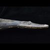 Child’s Toy Crocanoe, Middle Sepik River, Papua New Guinea - 11046 - Image 2