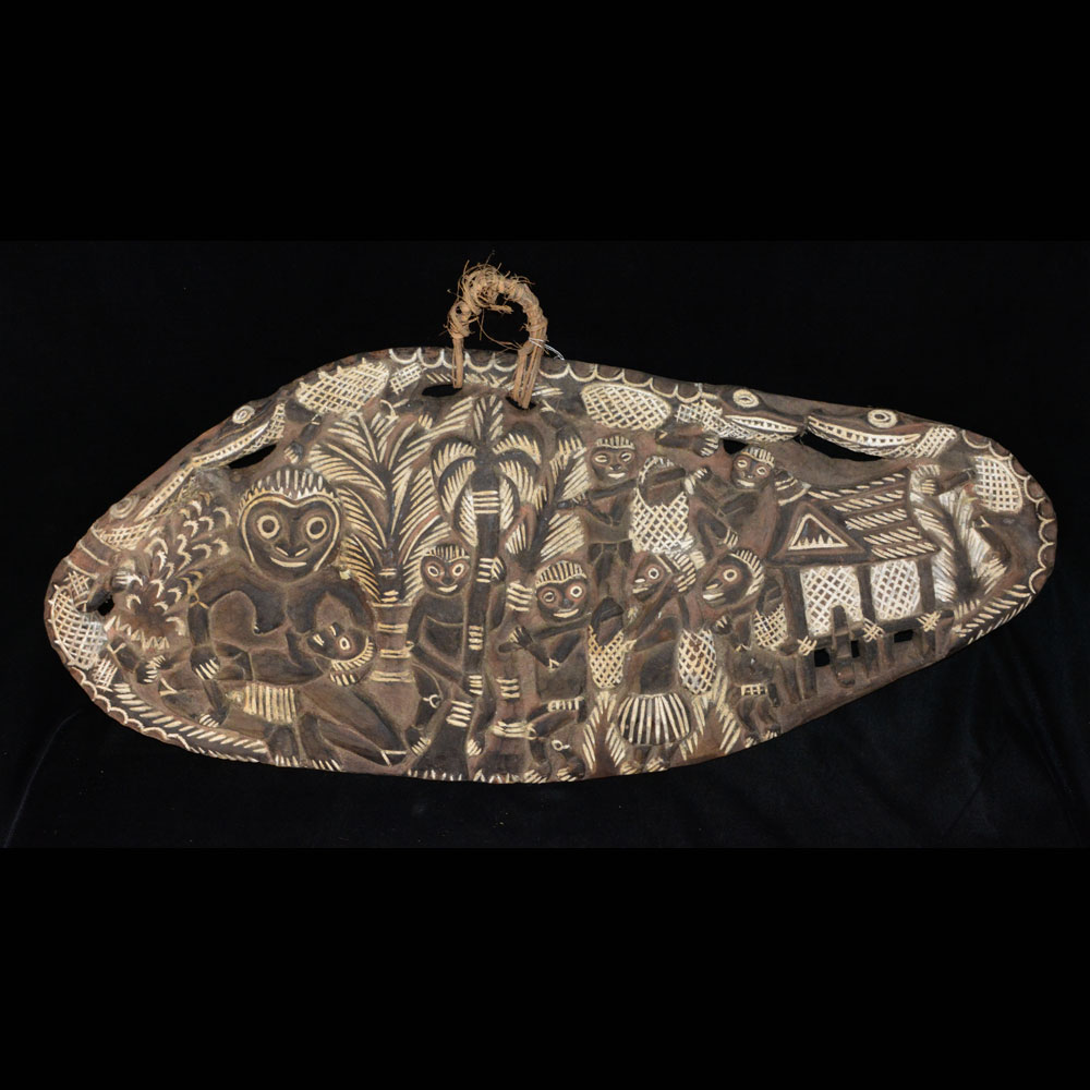 Storyboard, Keram River, Papua New Guinea - 11390